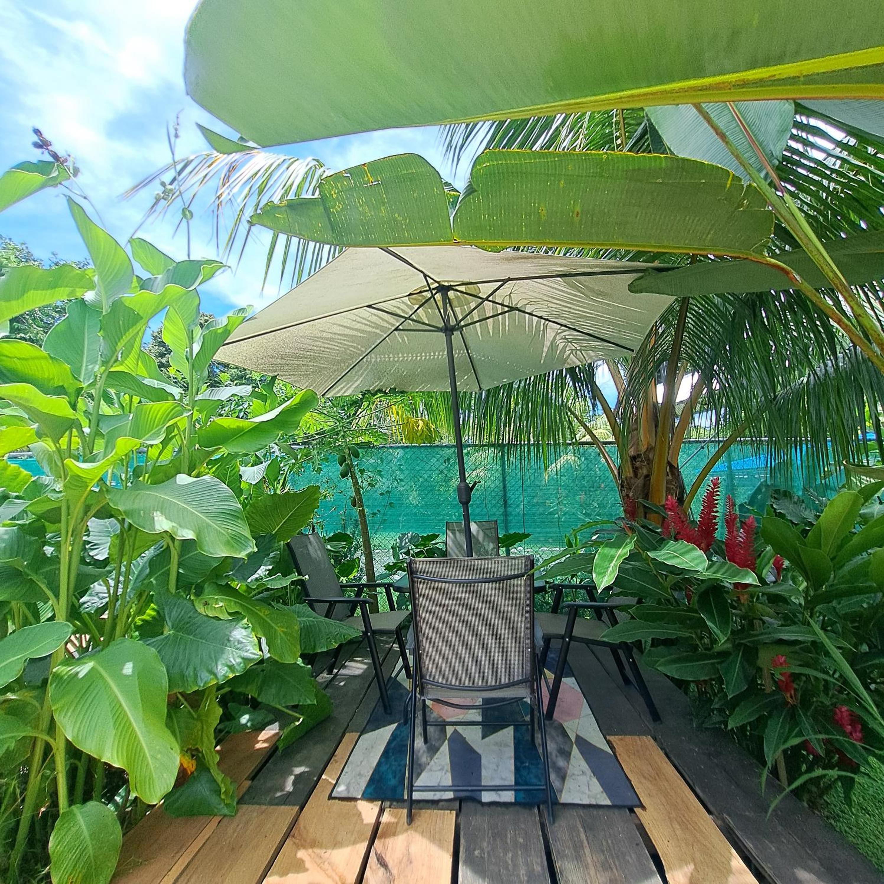Papaya Paradise