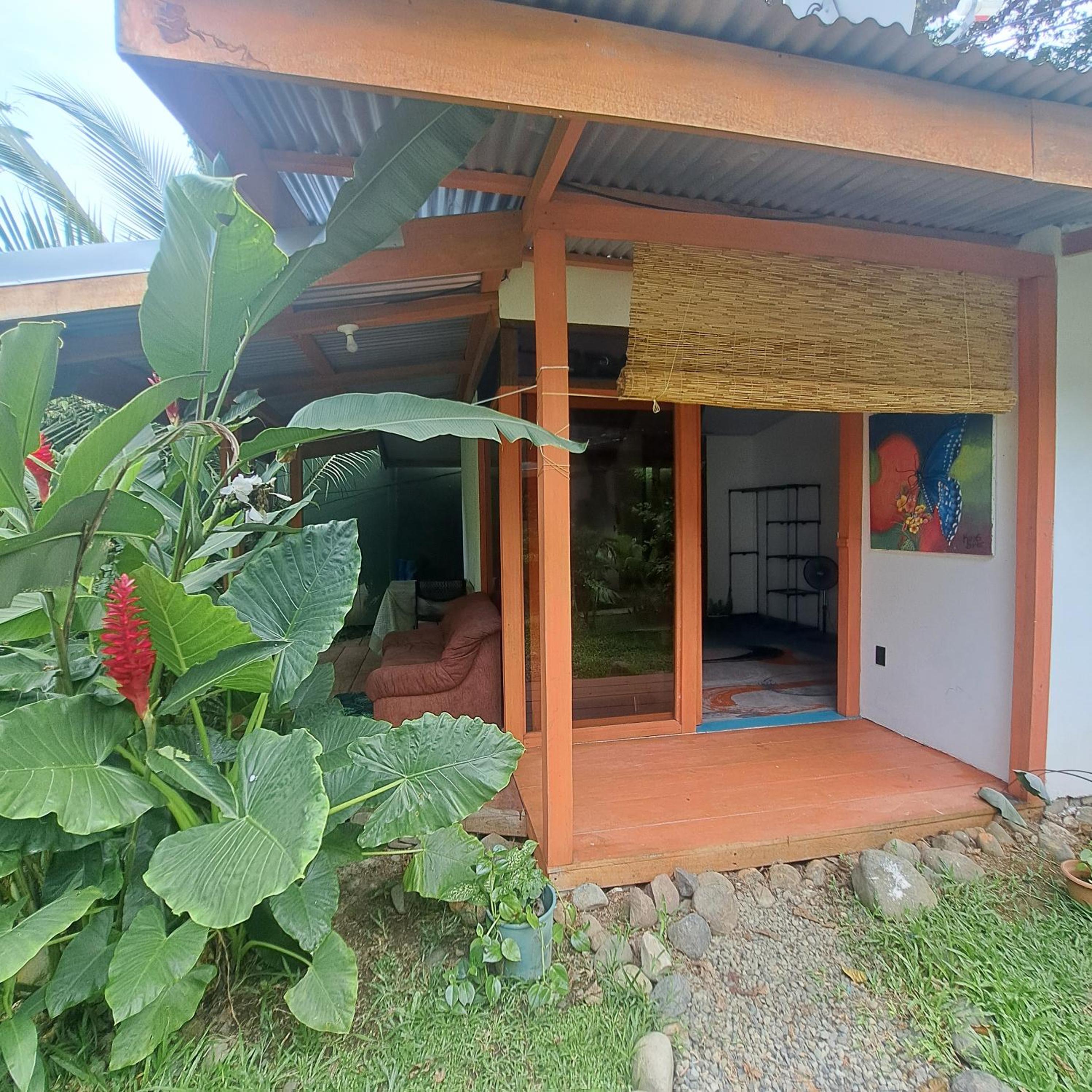 Papaya Paradise
