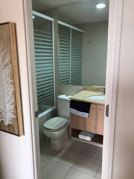 Apartamento grande, Santiago Centro