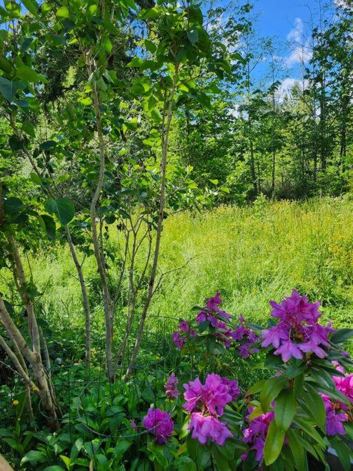 Forest's Edge where up to 6 guests can enjoy this gem
