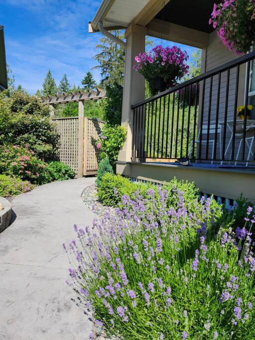 Forest's Edge where up to 6 guests can enjoy this gem