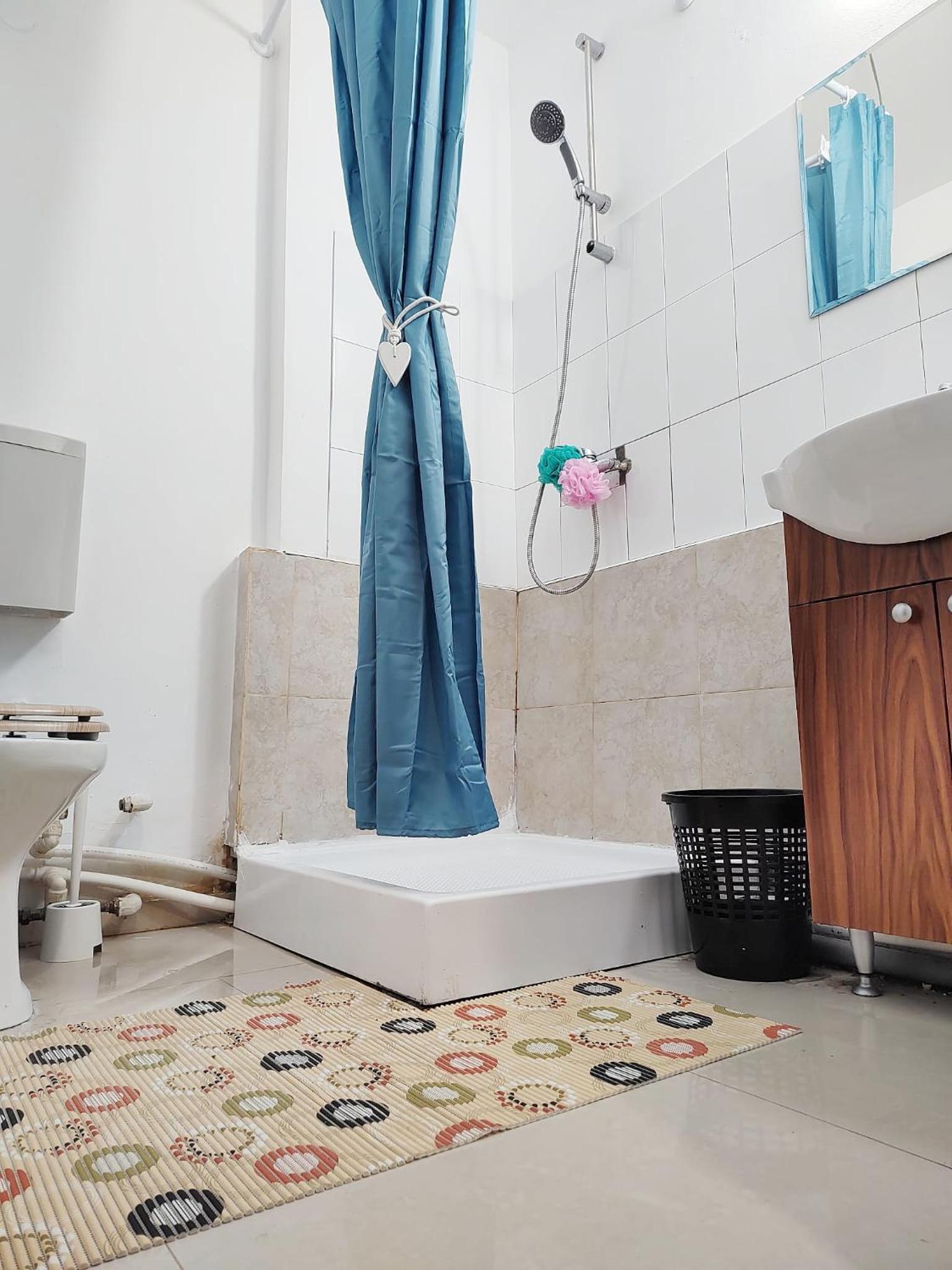 Old town Bucharest- Shared Apartment