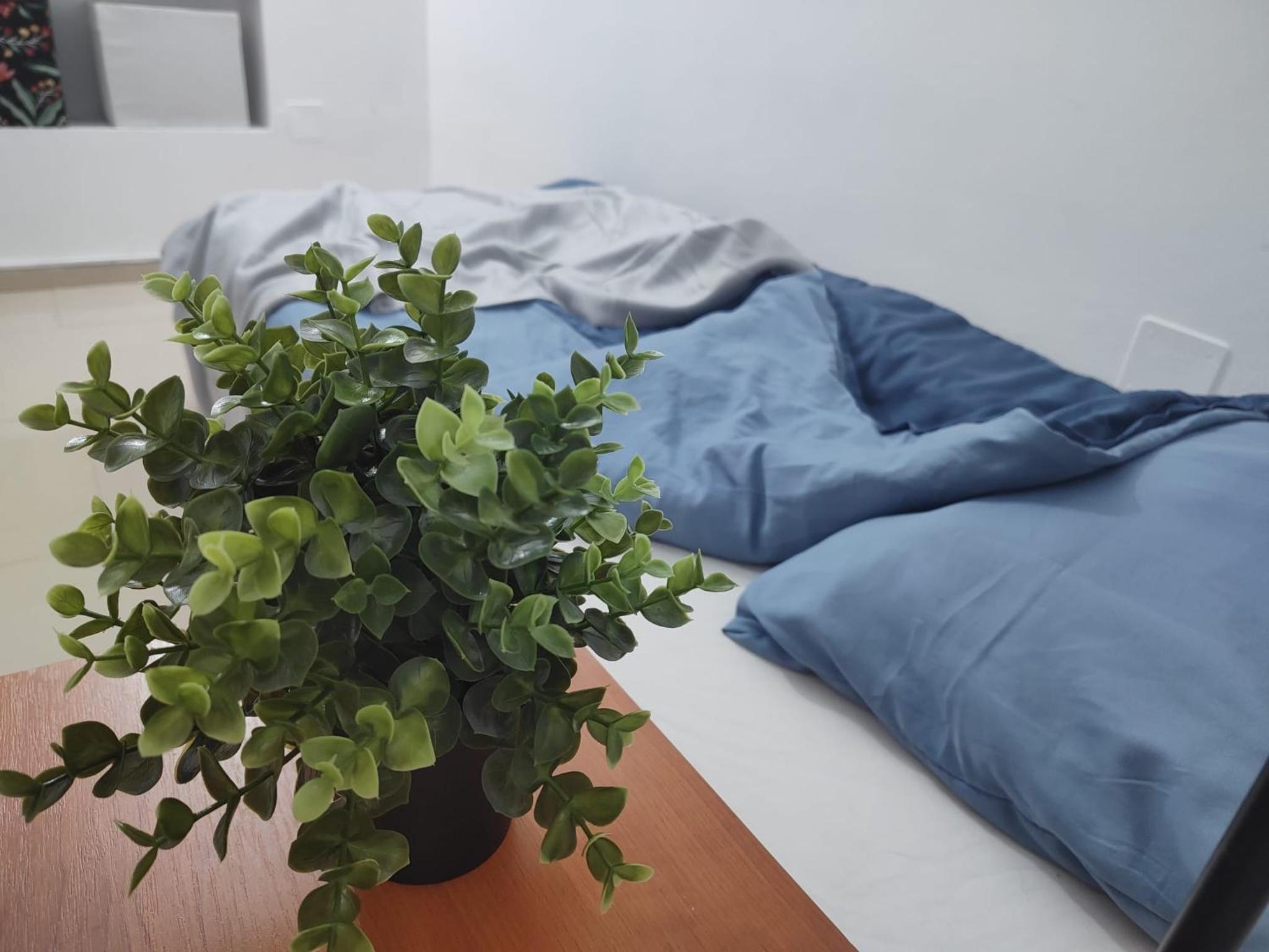 Old town Bucharest- Shared Apartment