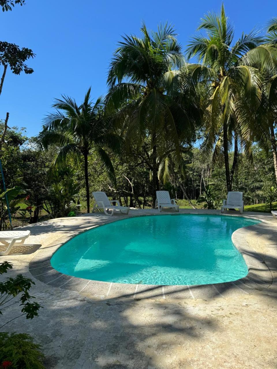 Cabañas Paraiso Escondido Gt view 4