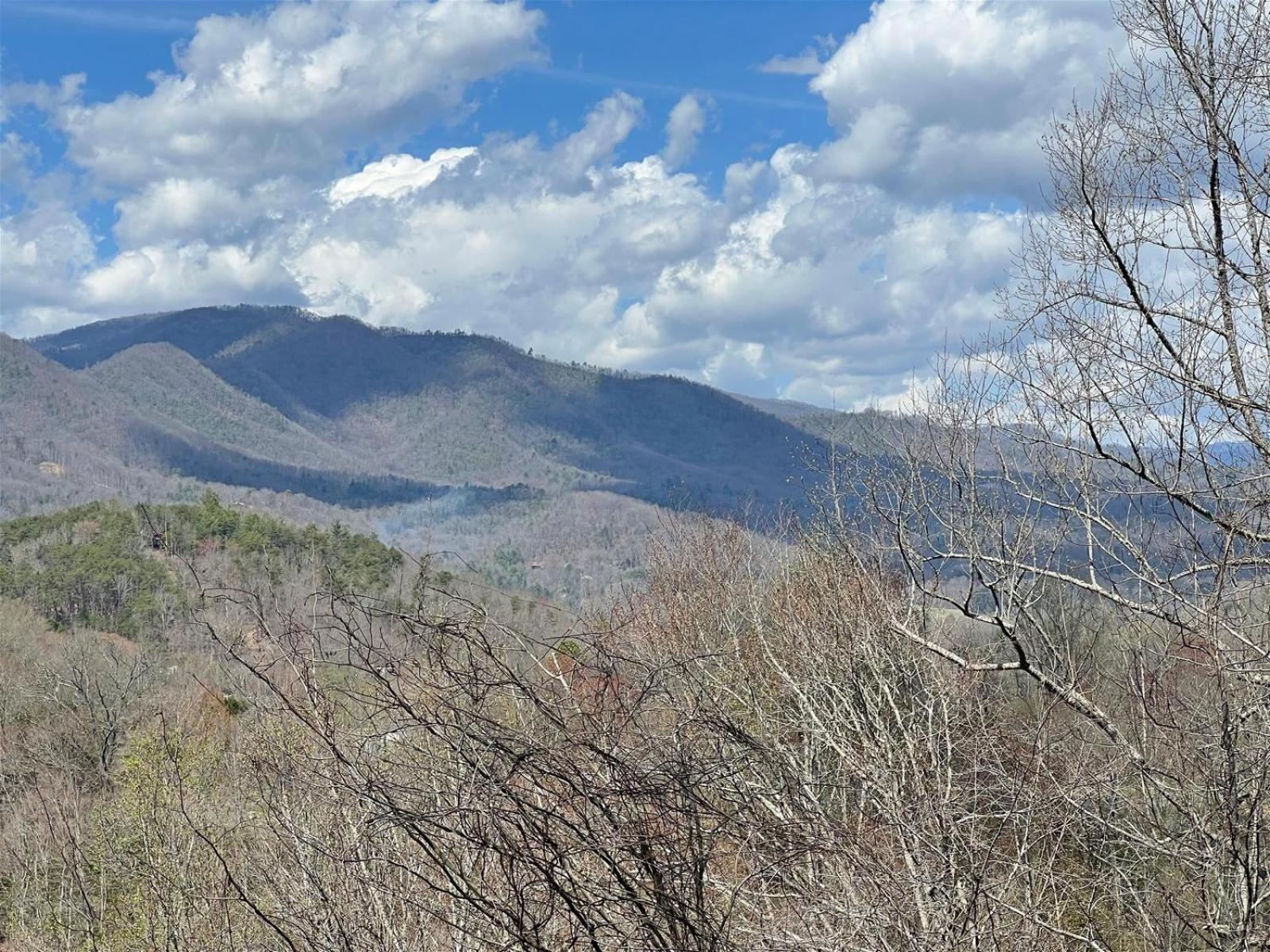 Big Oaks Pointe view 3