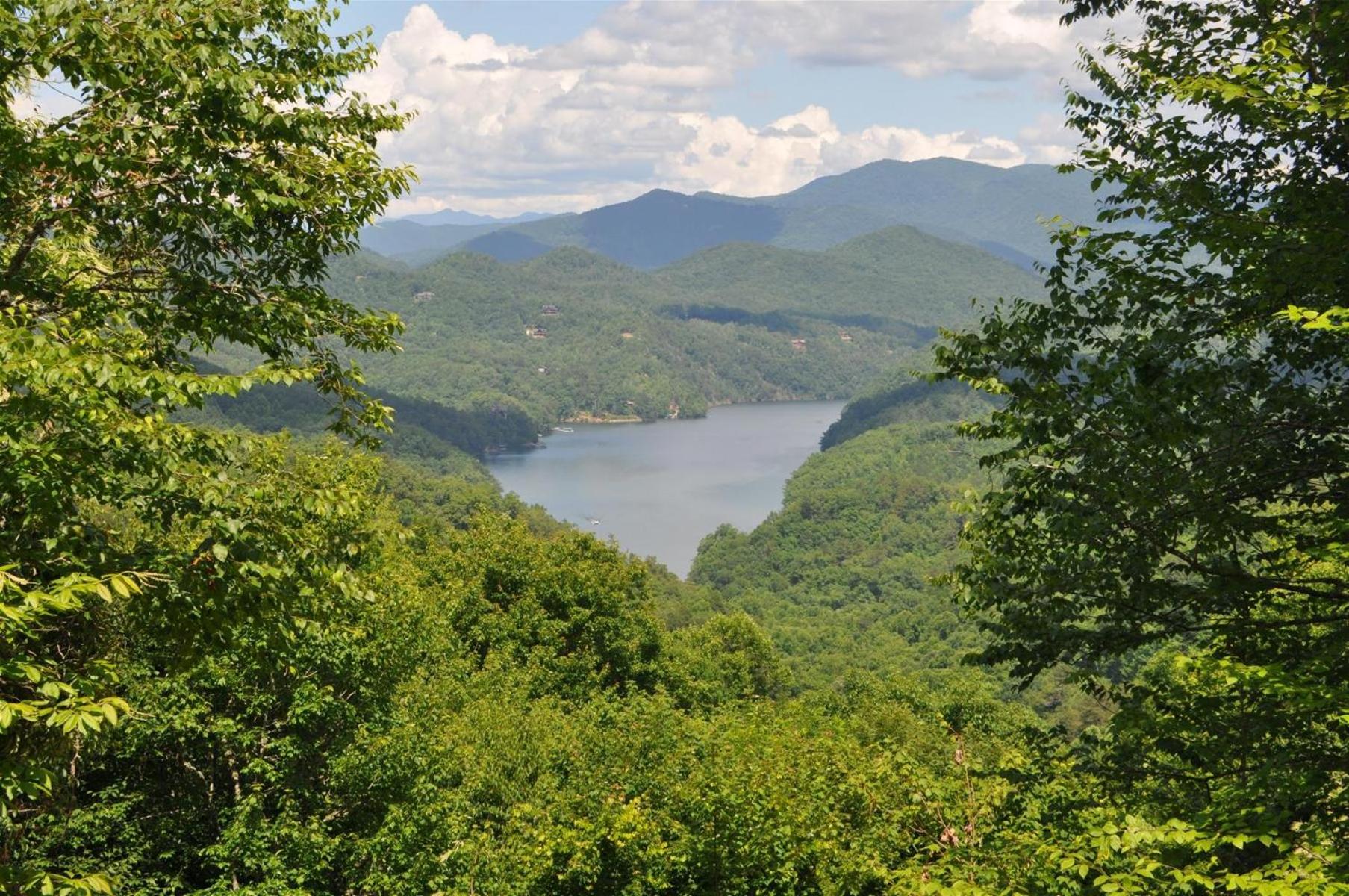A Treehouse View Over Lake