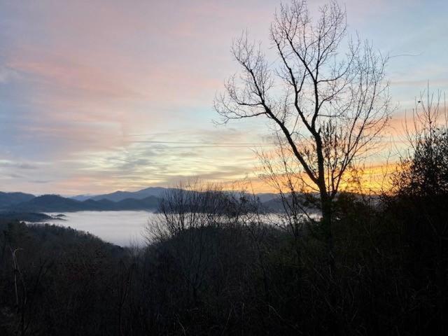 A Treehouse View Over Lake