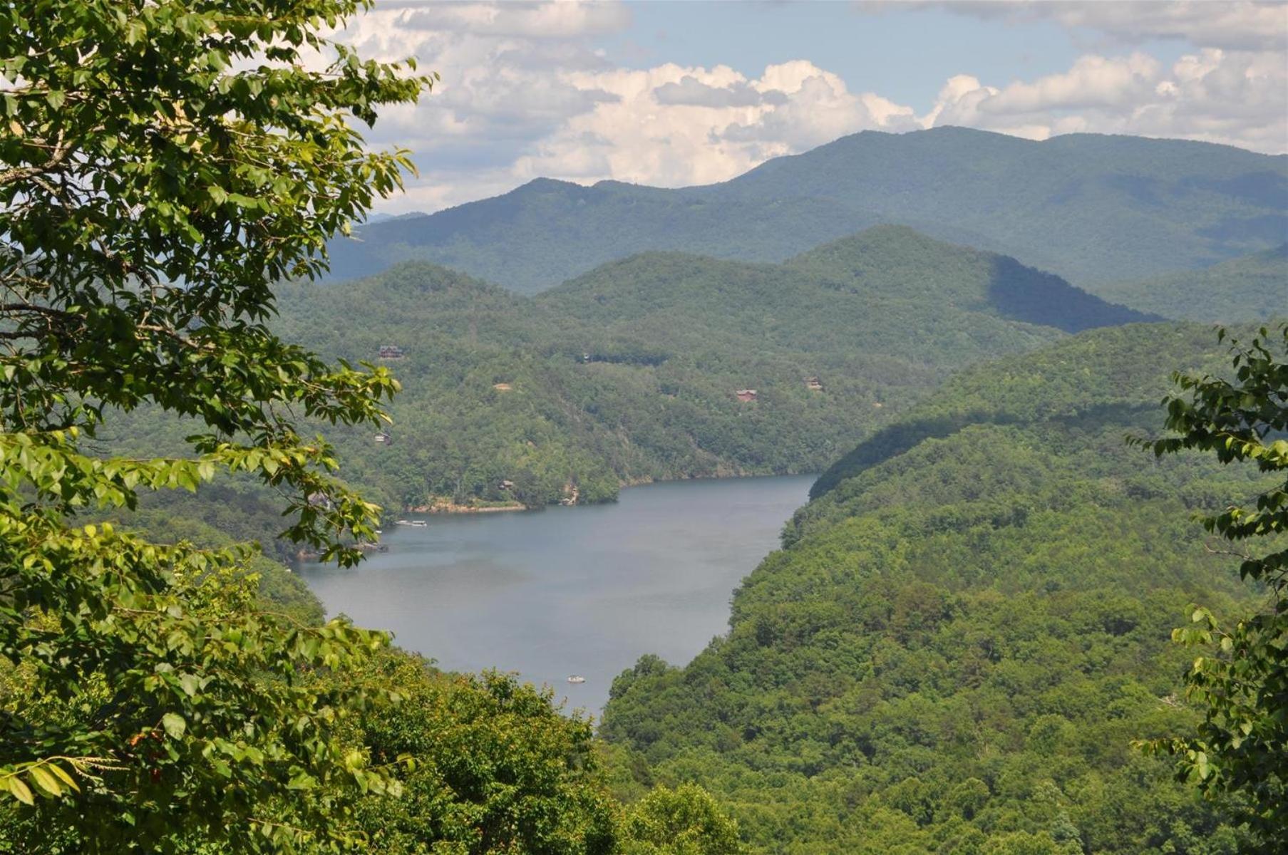 A Treehouse View Over Lake