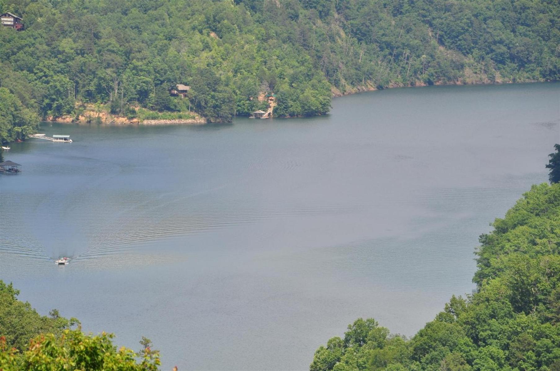 A Treehouse View Over Lake