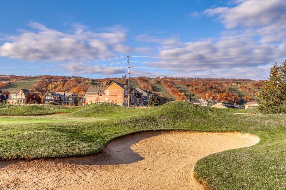 Wintergreen 119