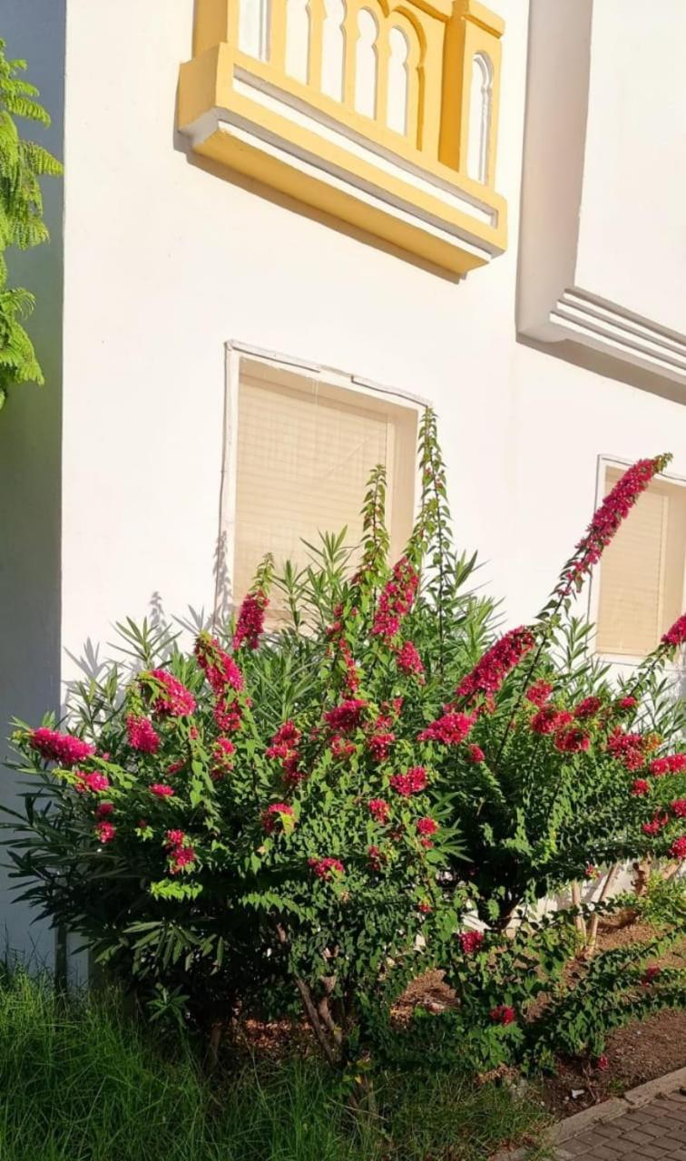 Charmant appartement á Tanger
