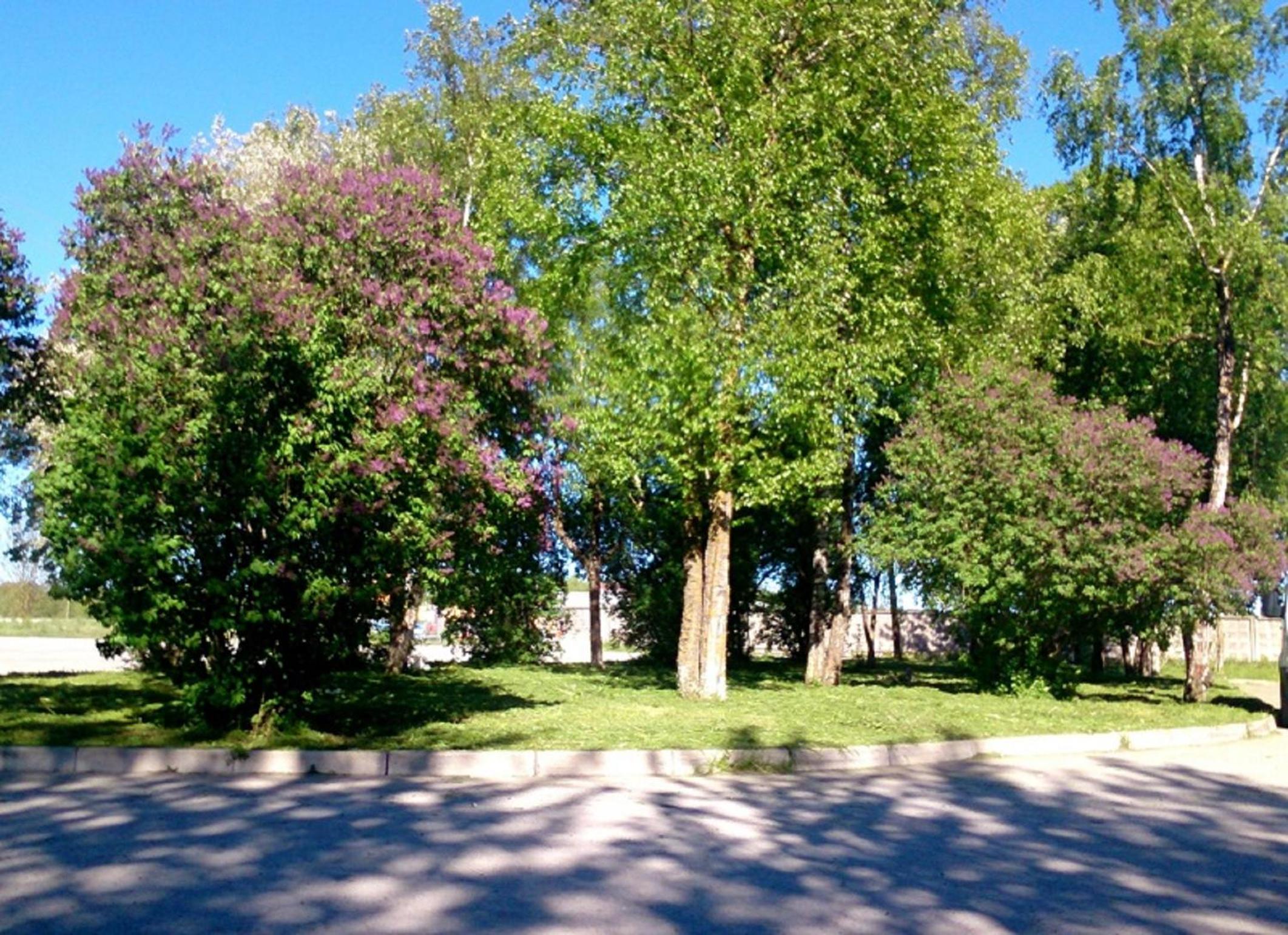 Eurohotel view 5