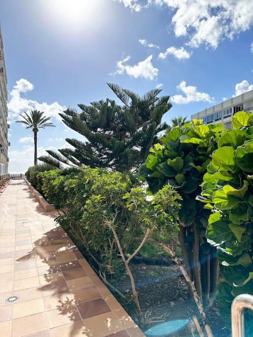 Apartamento Playa Cañon del águila