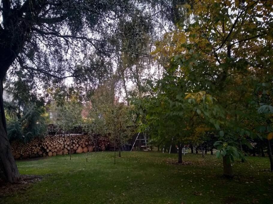 Oasis del Sur