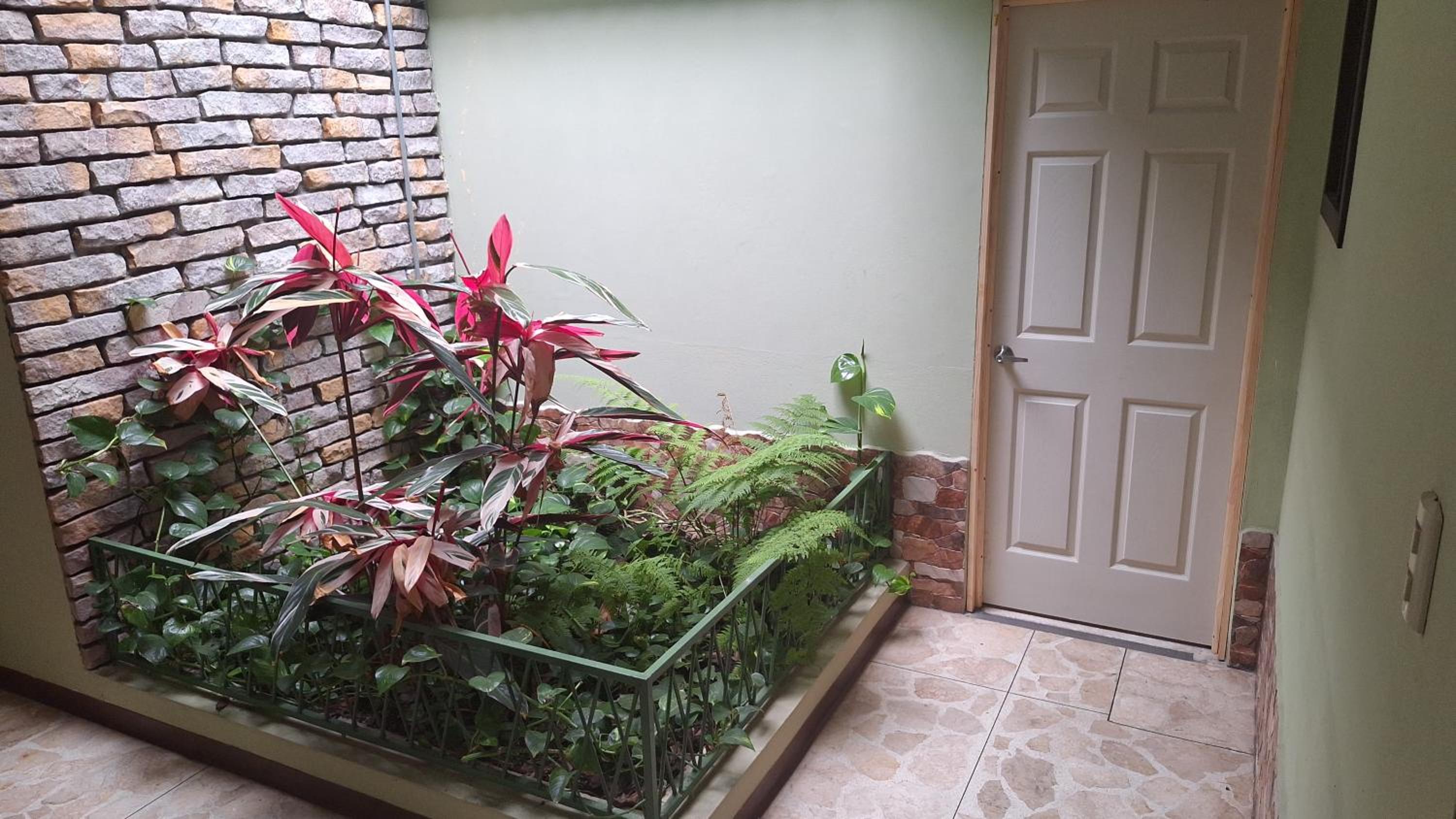 Carolina Hostel