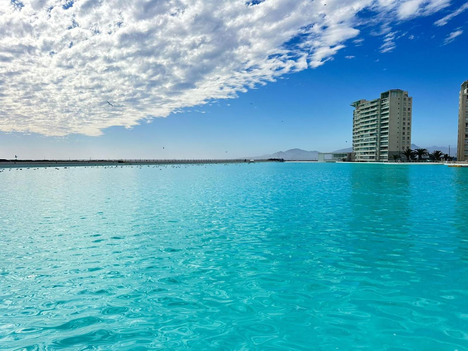 Depto 703 , edificio Coloso, Laguna Del Mar, Serena