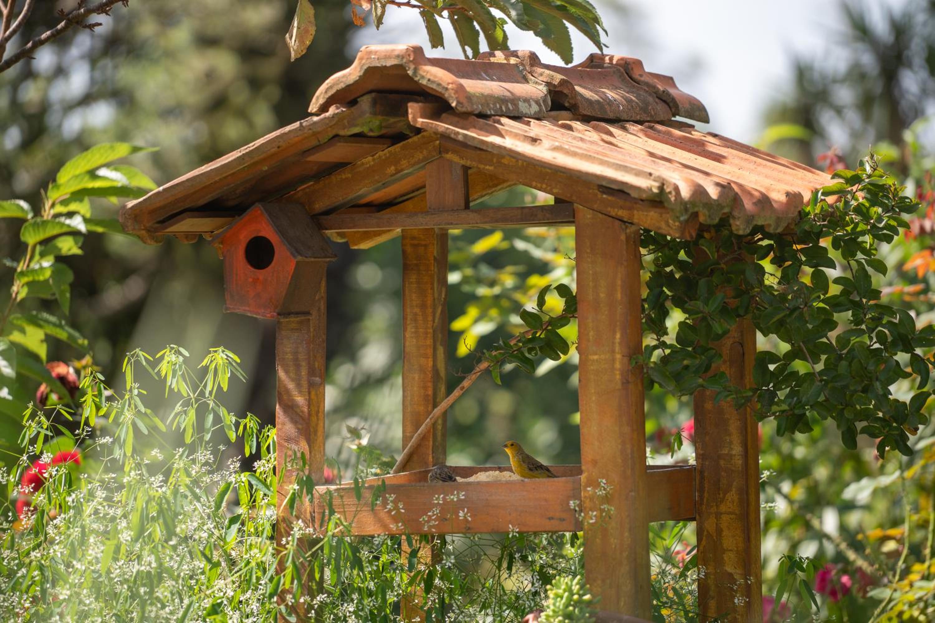Cabana Vêneto na Serra Gaúcha Conforto completo