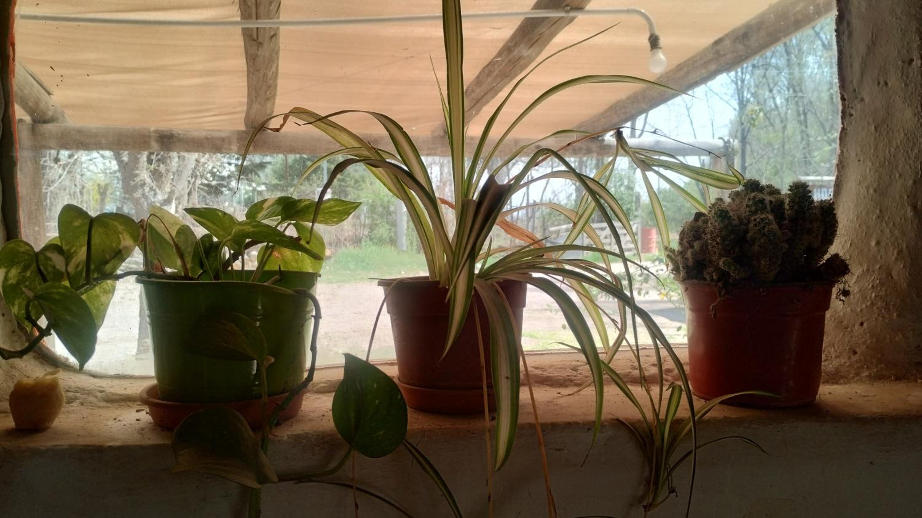 Espacio Milpa