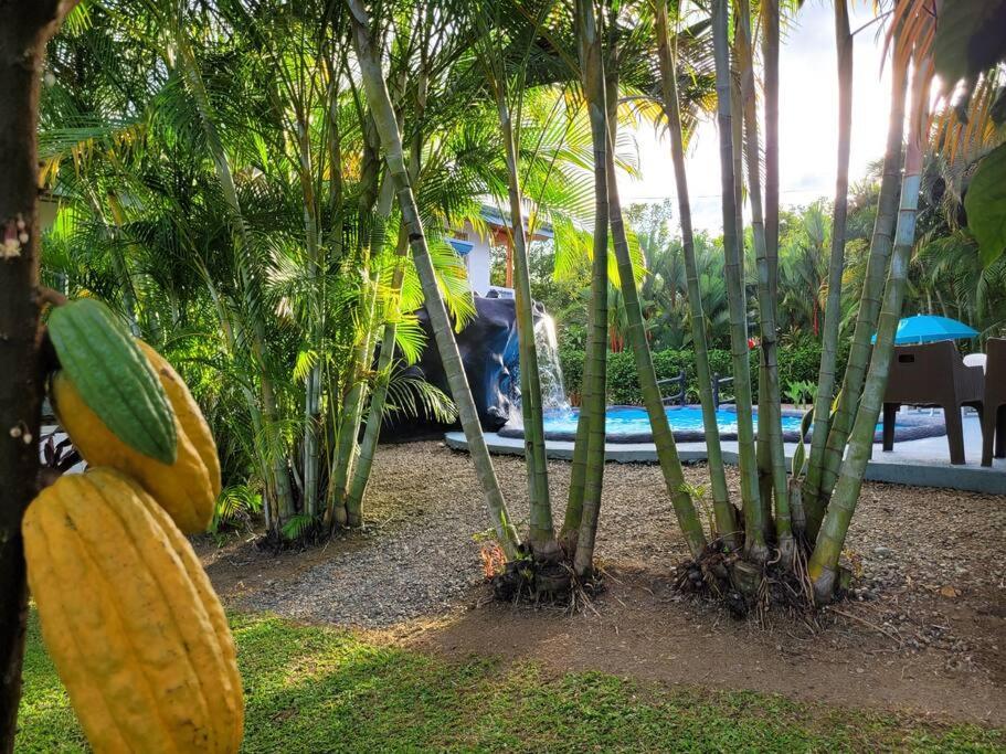 Arenal Family Home - Families & Friends Gateway