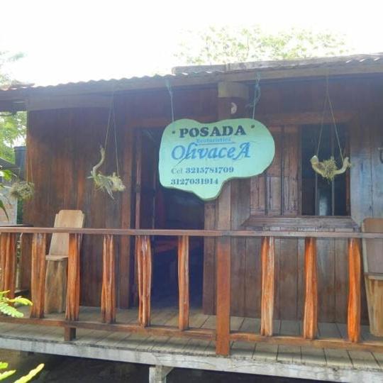 Posada Oliva