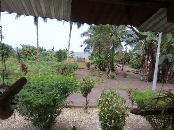Posada Oliva