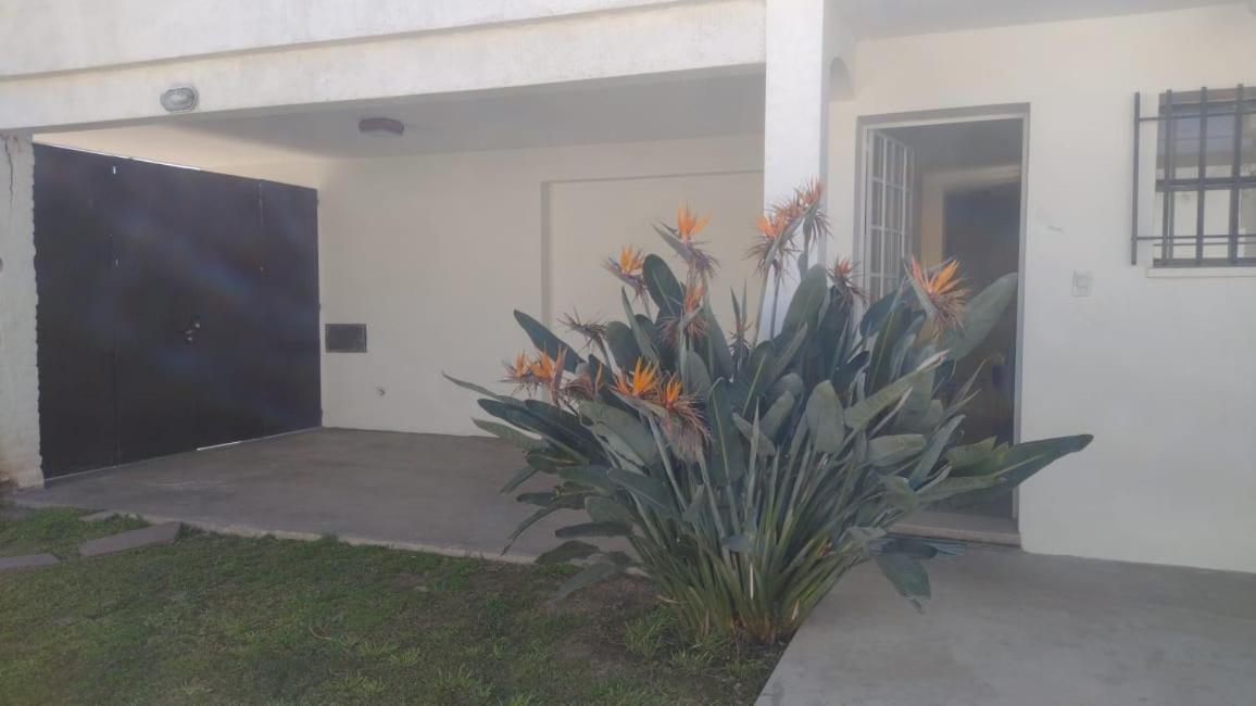 Casa Felisa