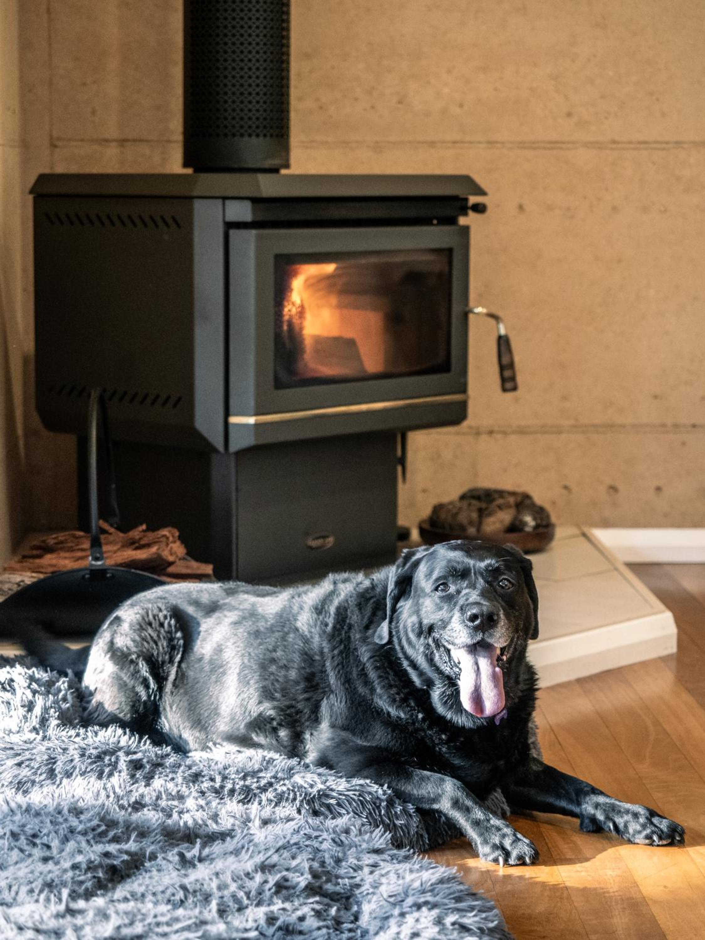 Jarrah Grove Forest Retreat - Adults Only Luxury Chalet