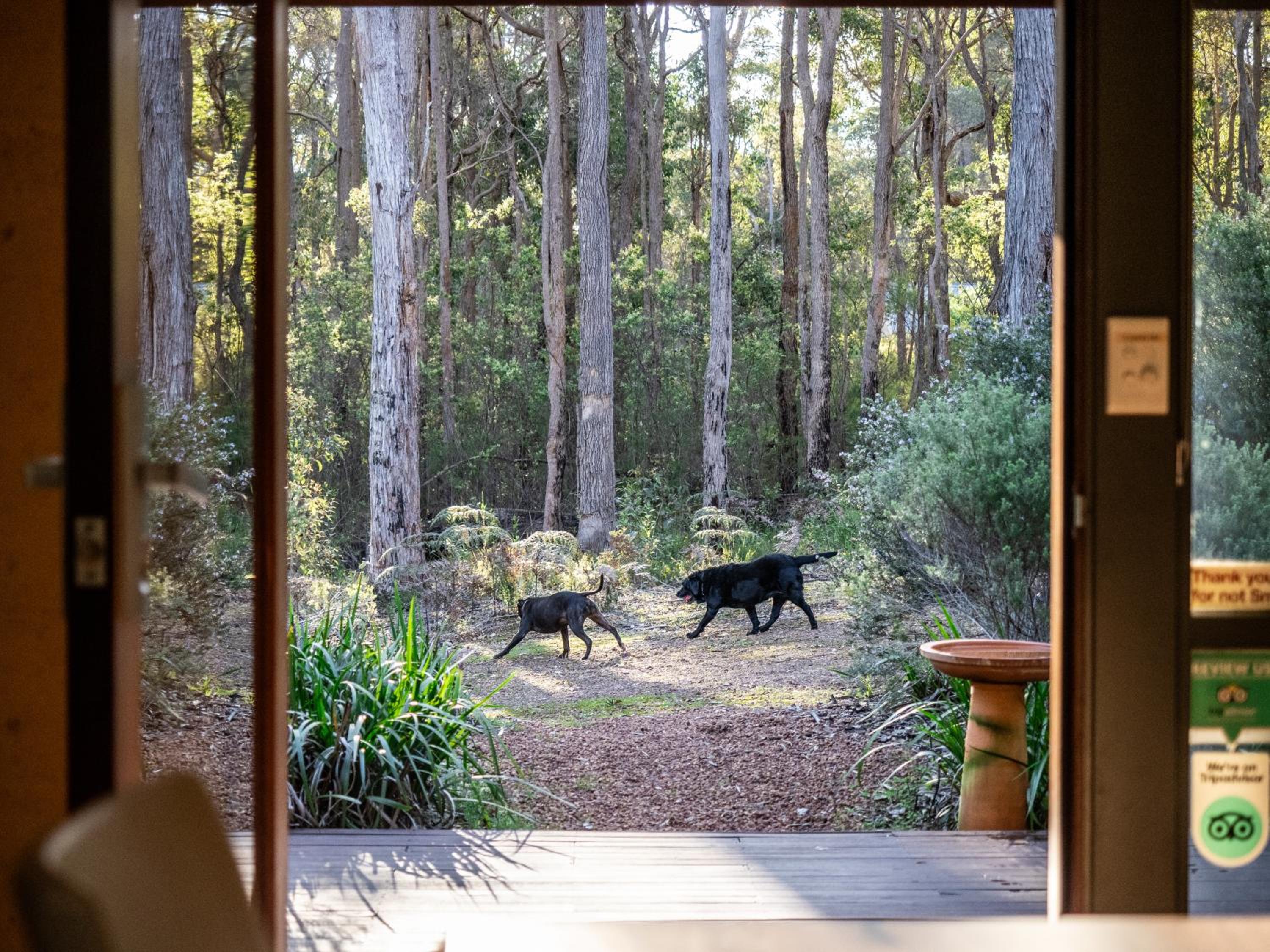 Jarrah Grove Forest Retreat - Adults Only Luxury Chalet