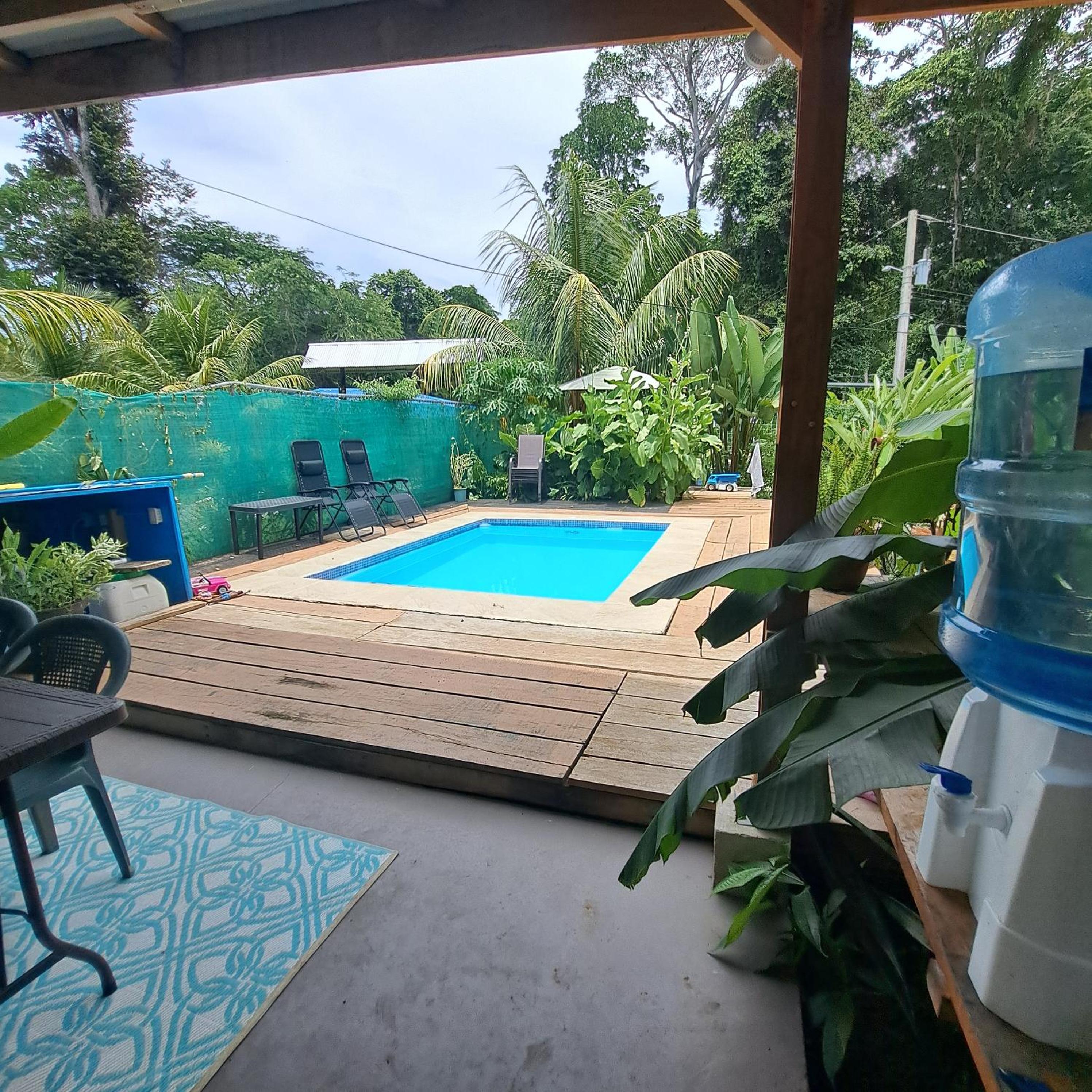 Papaya Paradise