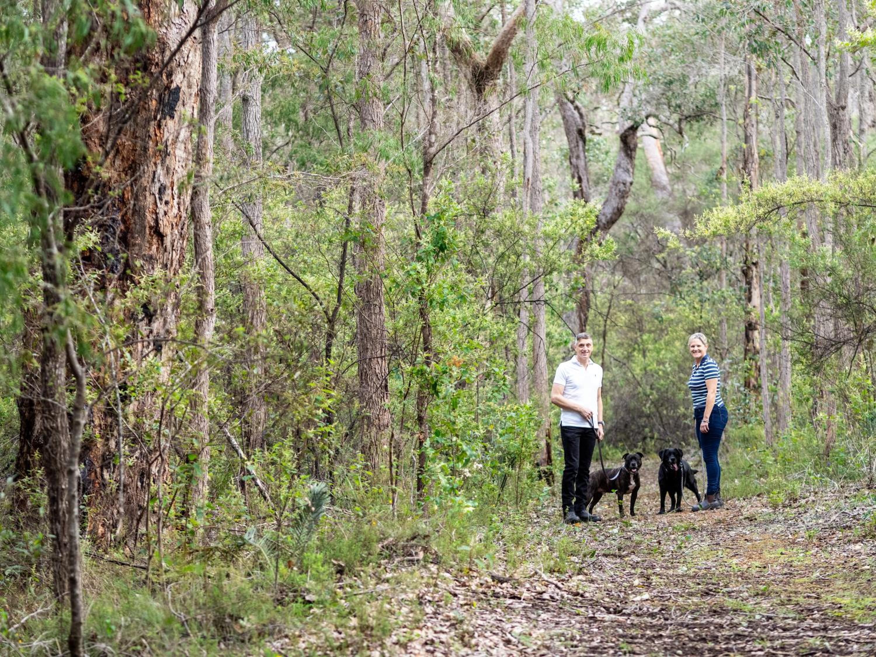 Jarrah Grove Forest Retreat - Adults Only Luxury Chalet