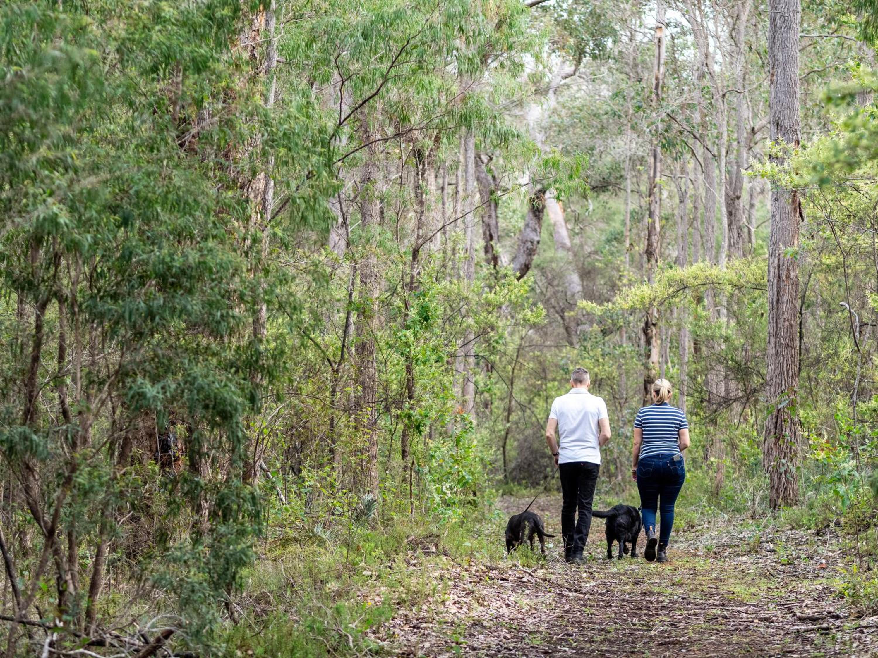 Jarrah Grove Forest Retreat - Adults Only Luxury Chalet