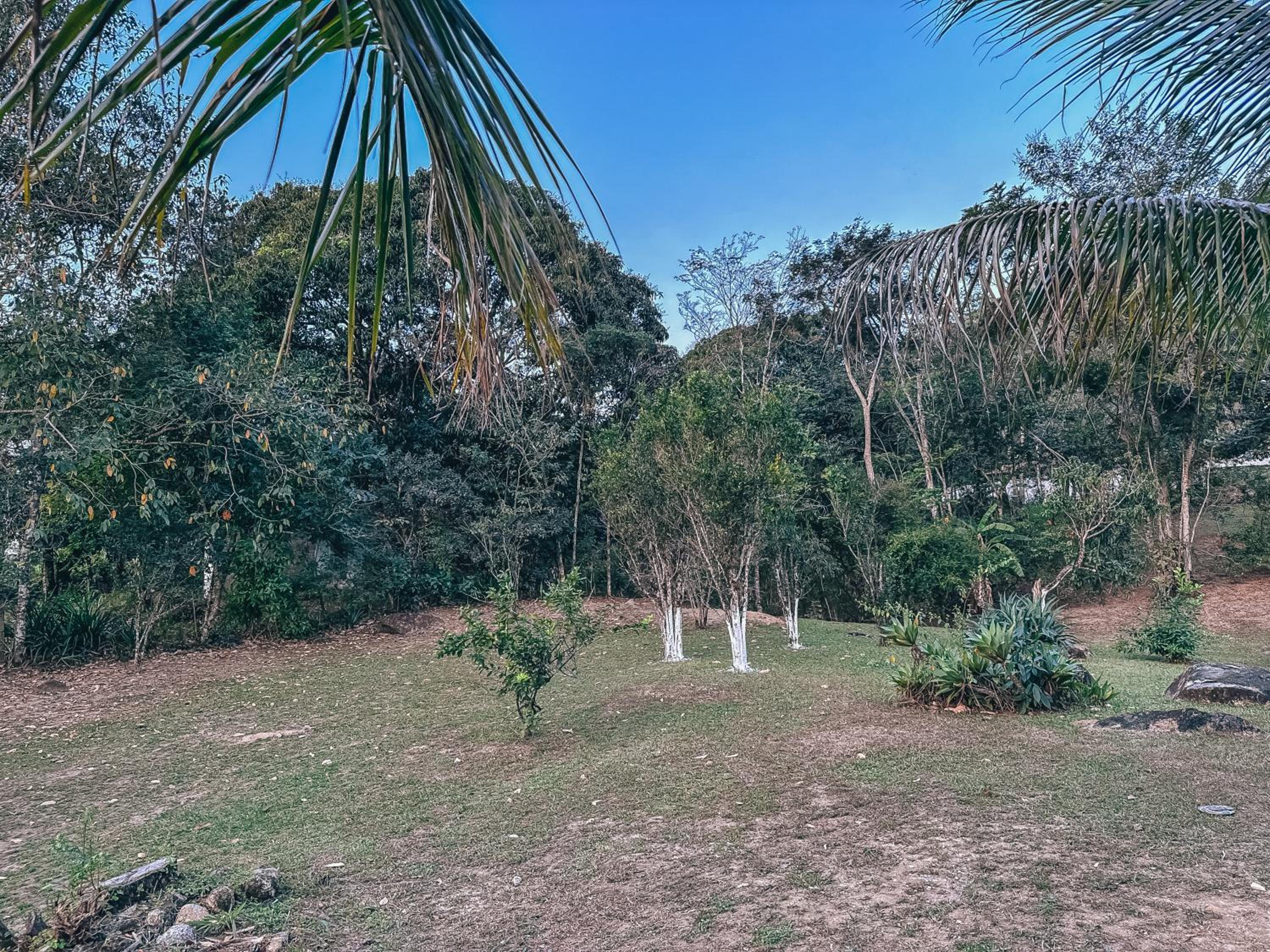 Sítio Bela Vista - Agro Brasil - Itaboraí RJ