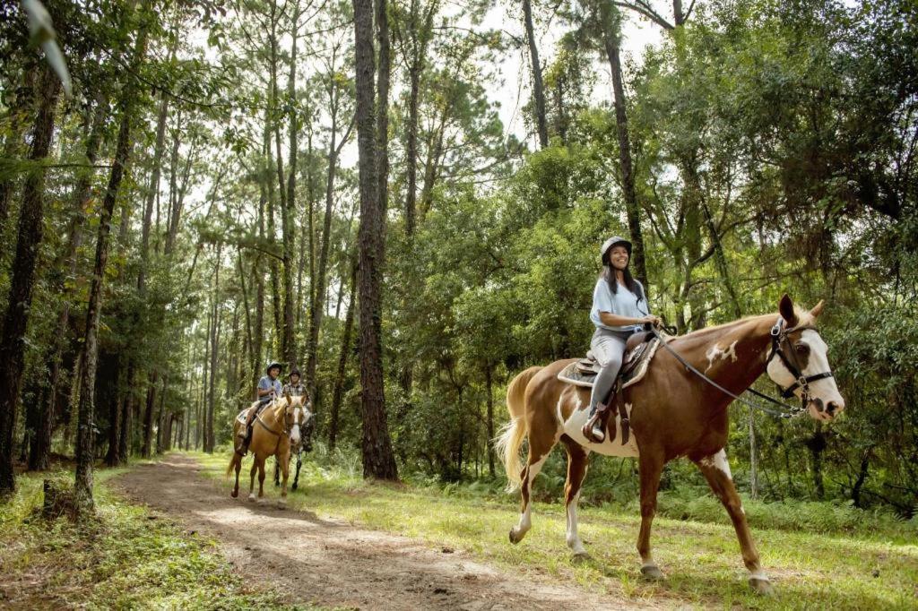 The Cabins at Disney's Fort Wilderness Resort