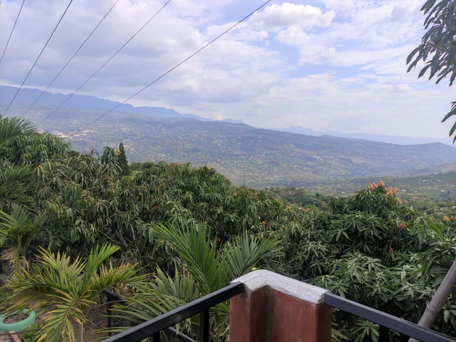 vista linda