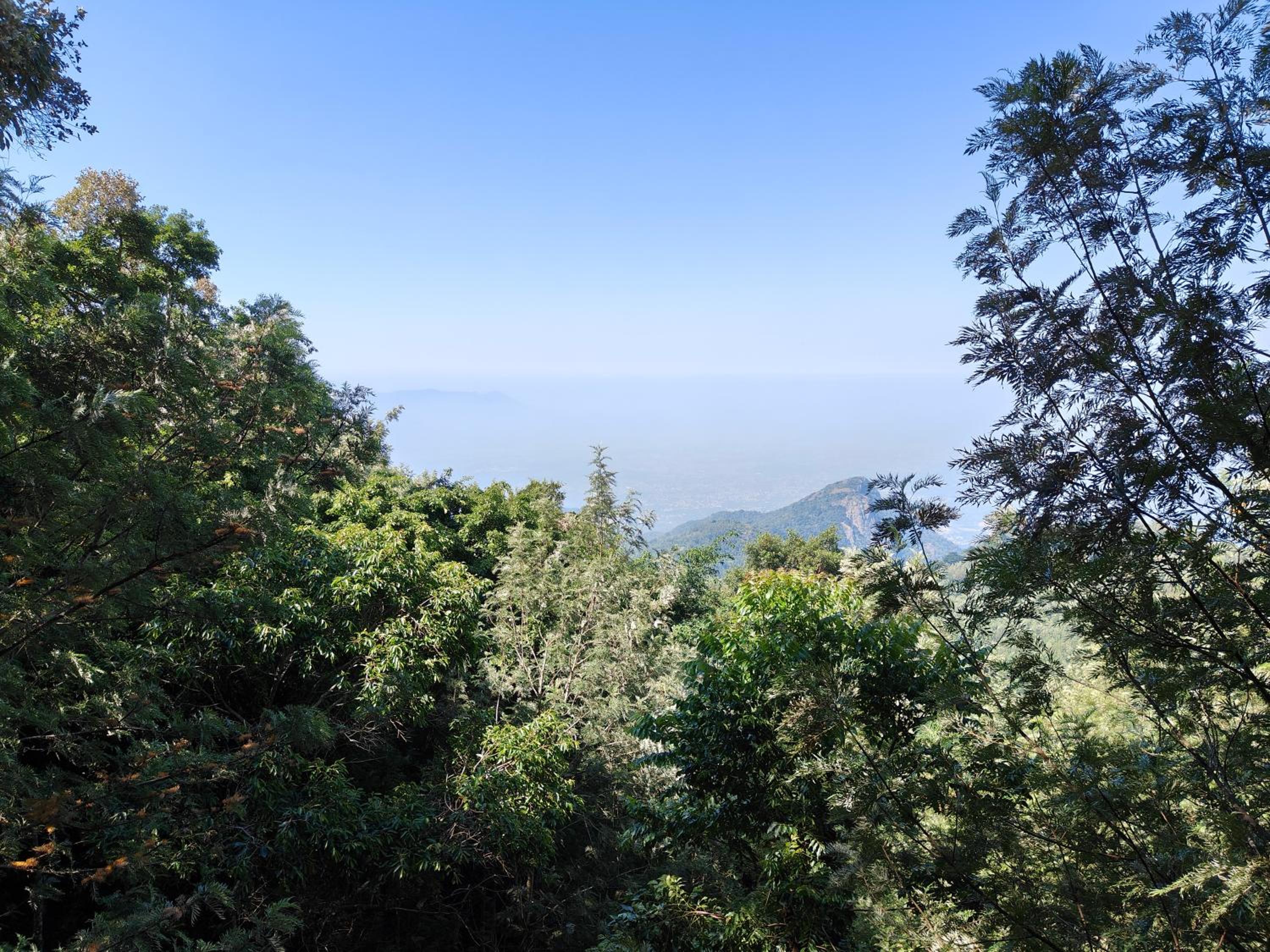 Tipperary Treehouse with Valley View