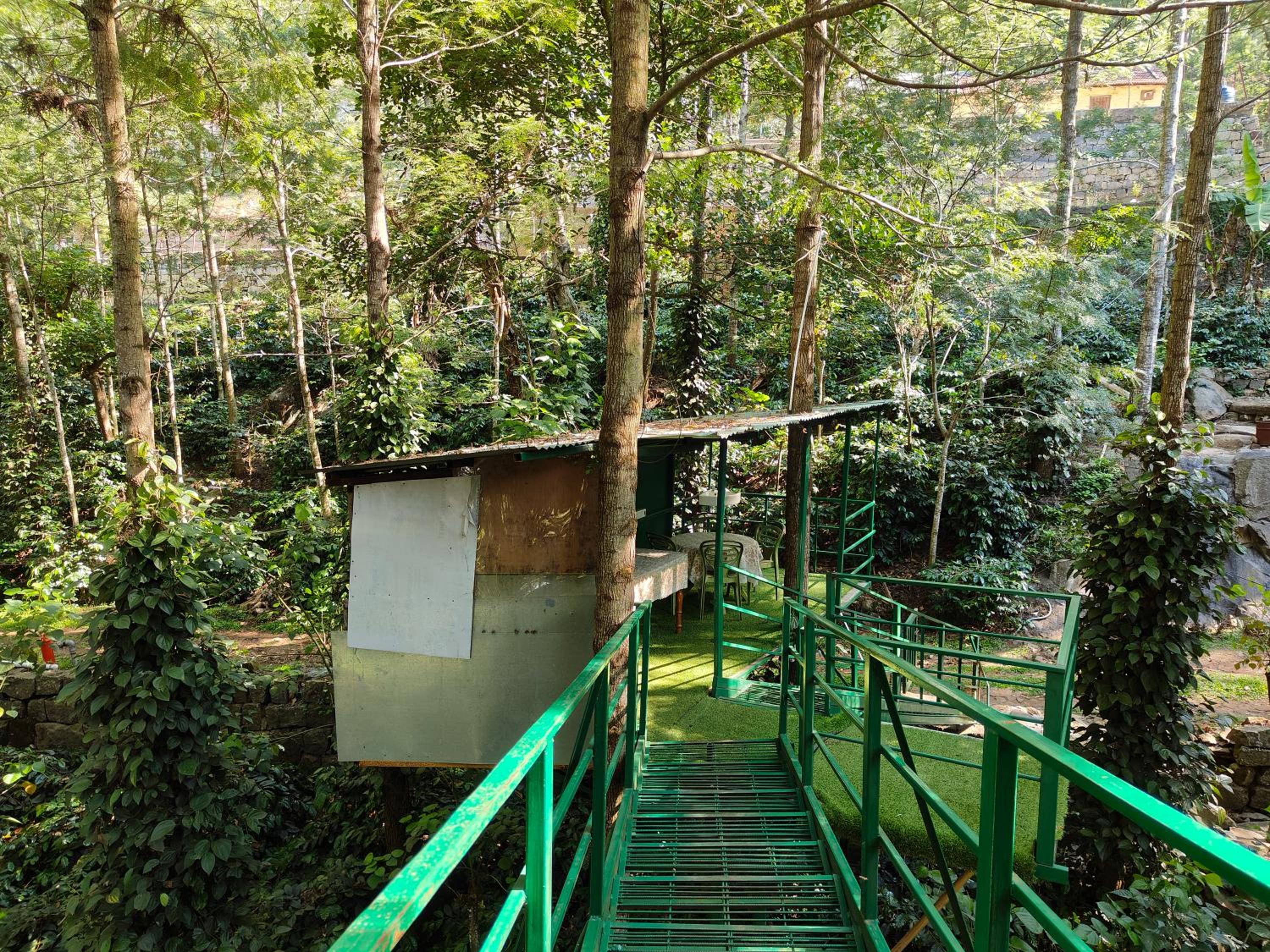 Tipperary Treehouse with Valley View