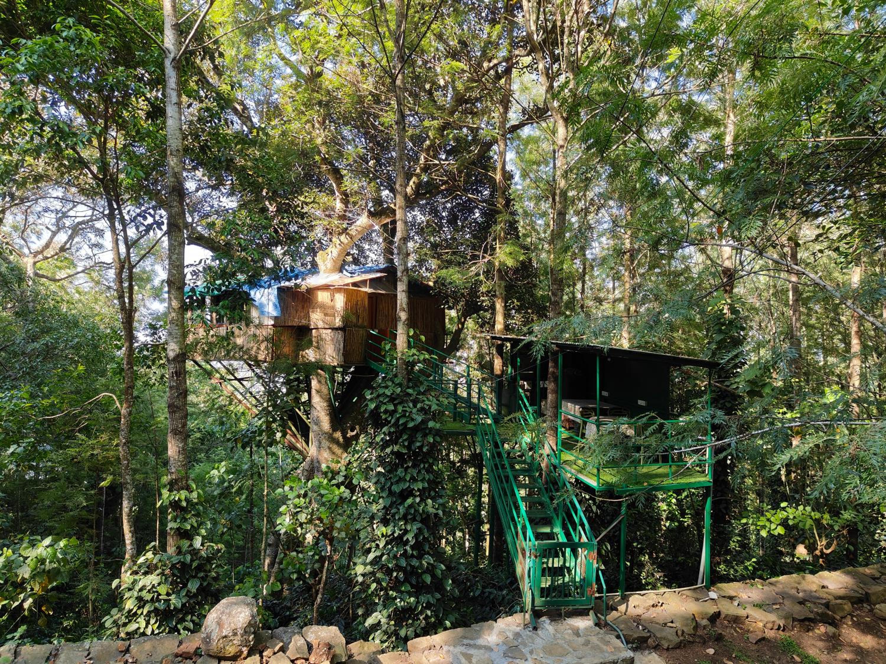 Tipperary Treehouse with Valley View
