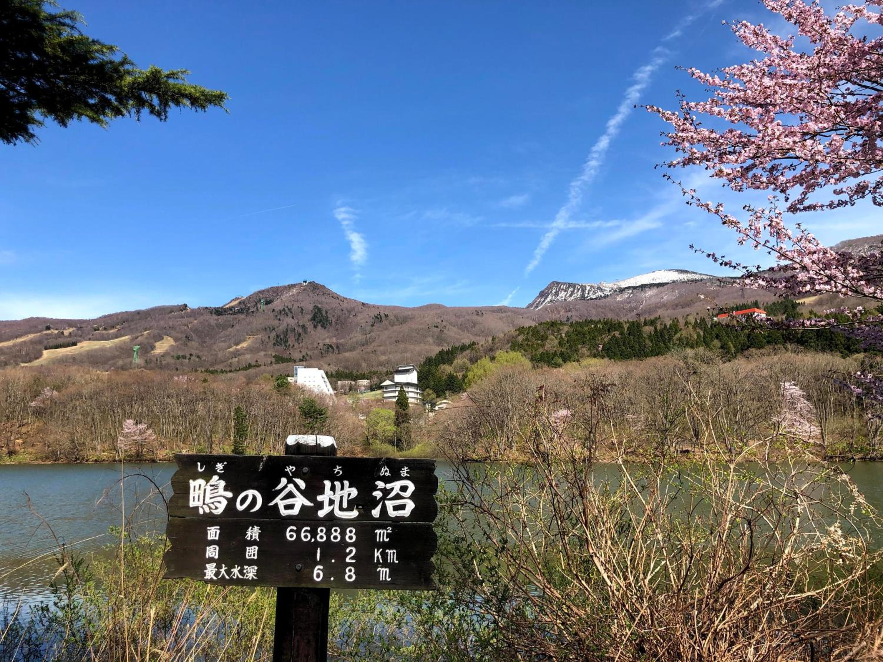 Wakamatsuya