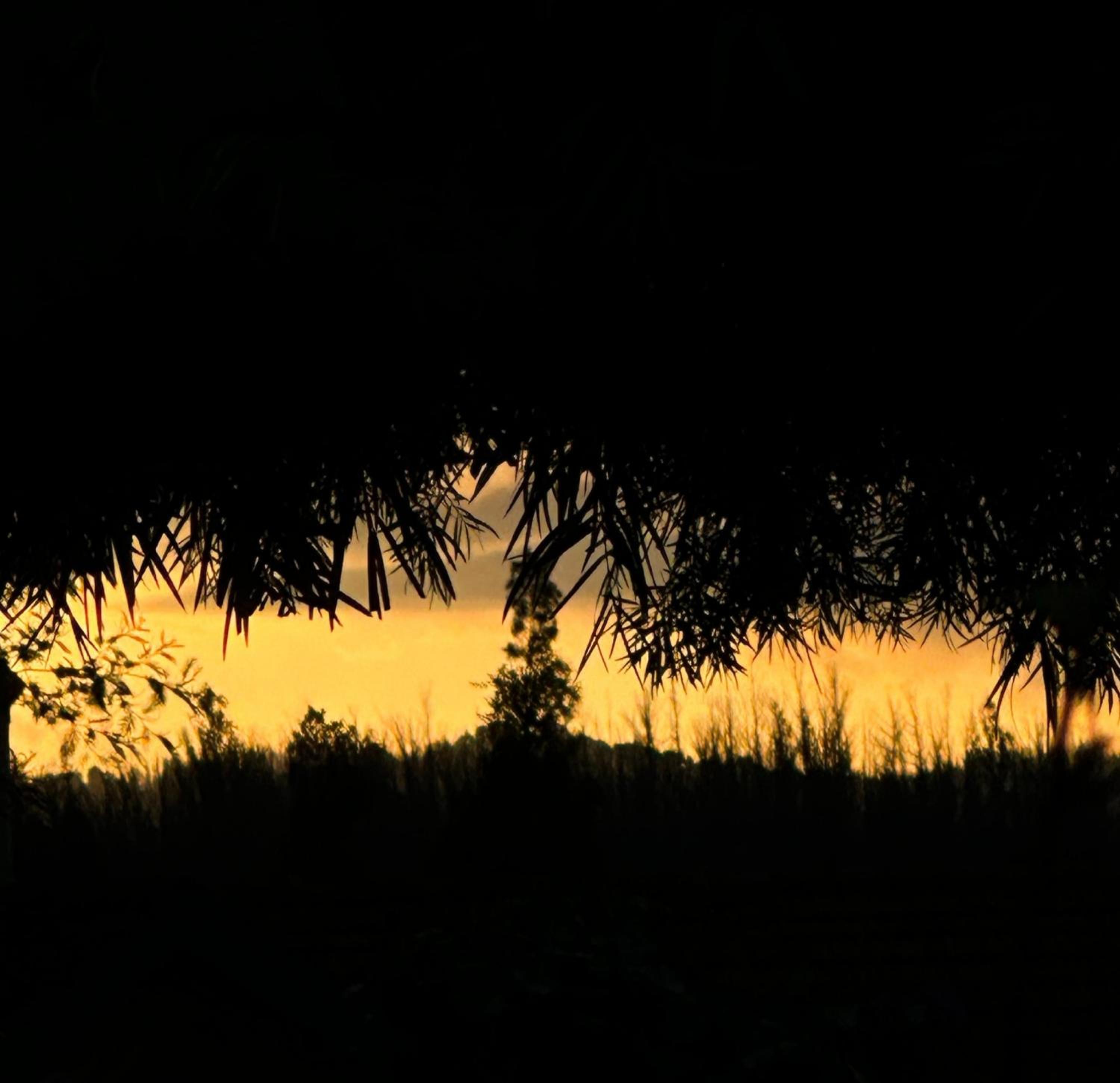 LA Address Retreat - The Heritage Homestay view 4