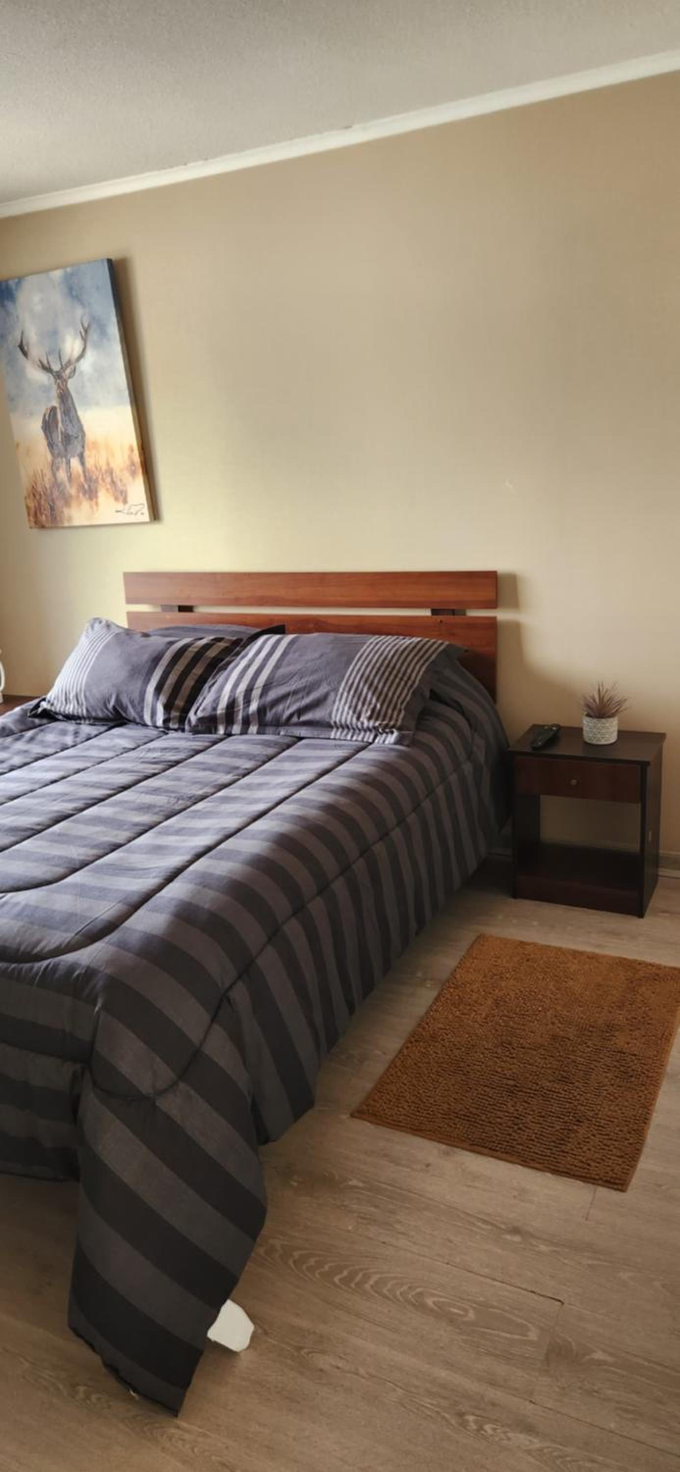 Apartamento Platinium Concepción
