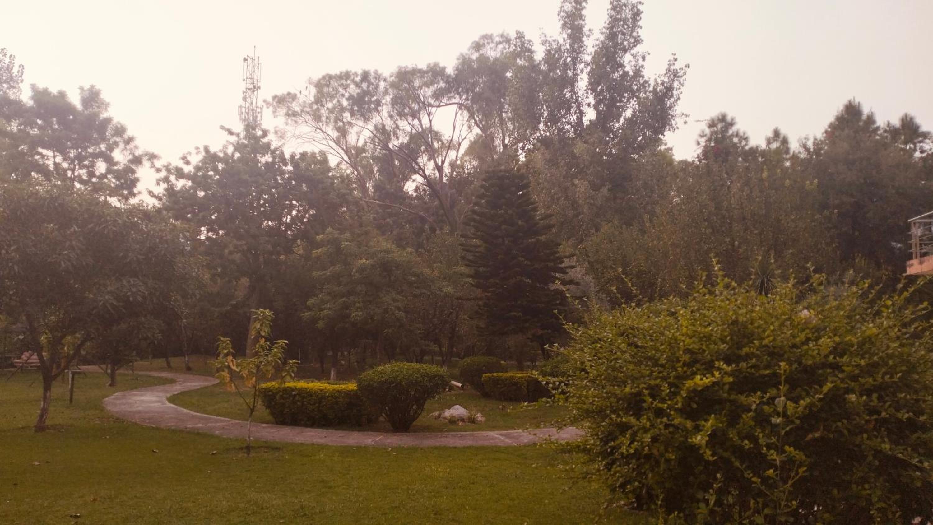 Photo 8