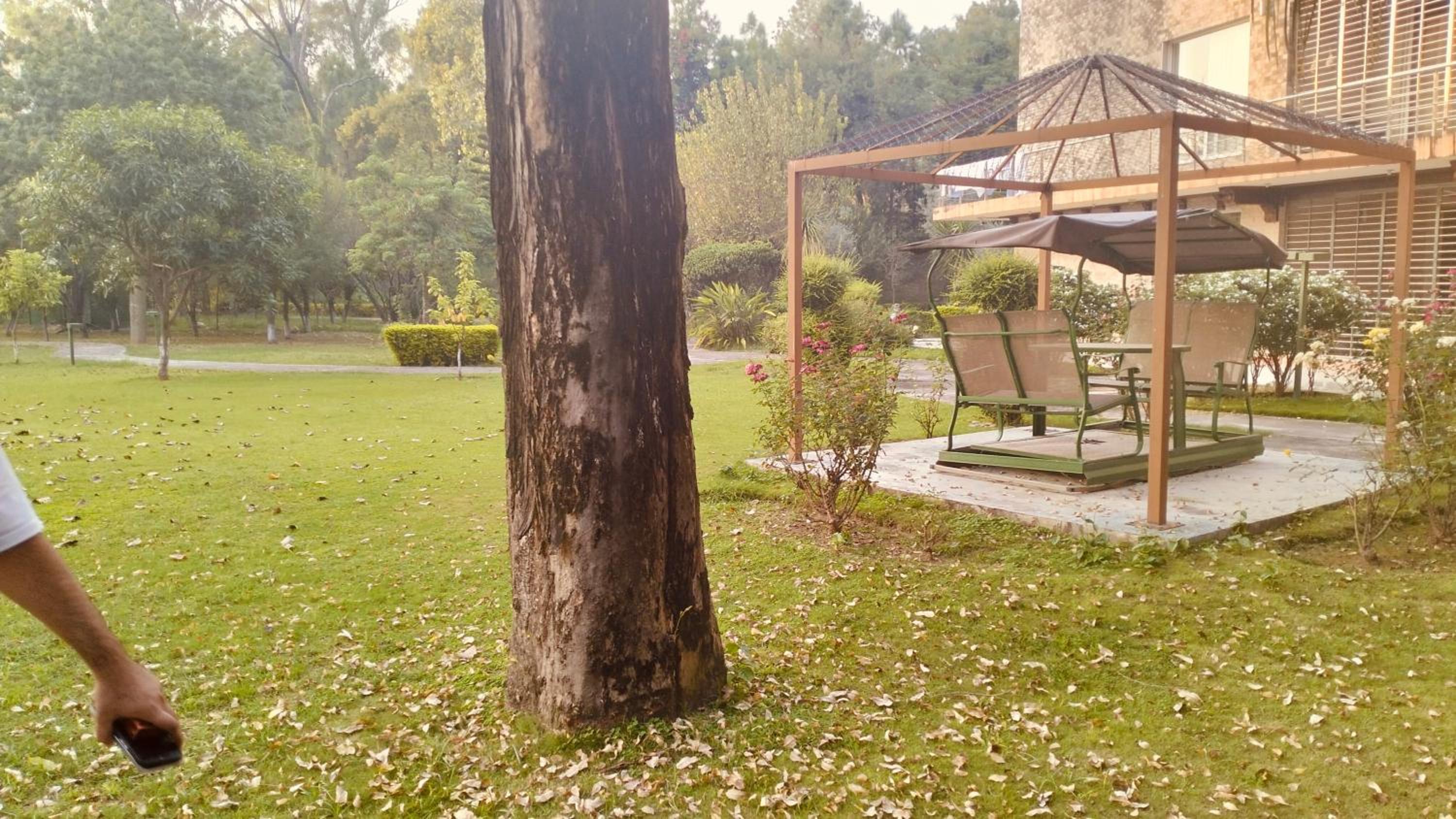 Photo 16