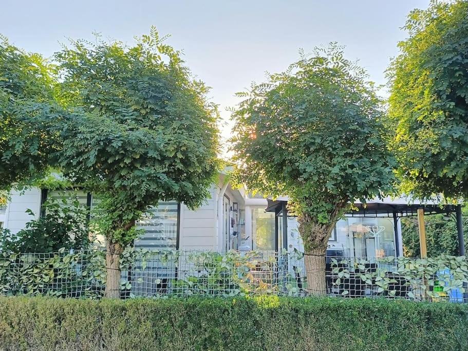 Chalet TerSpegelt 59-8