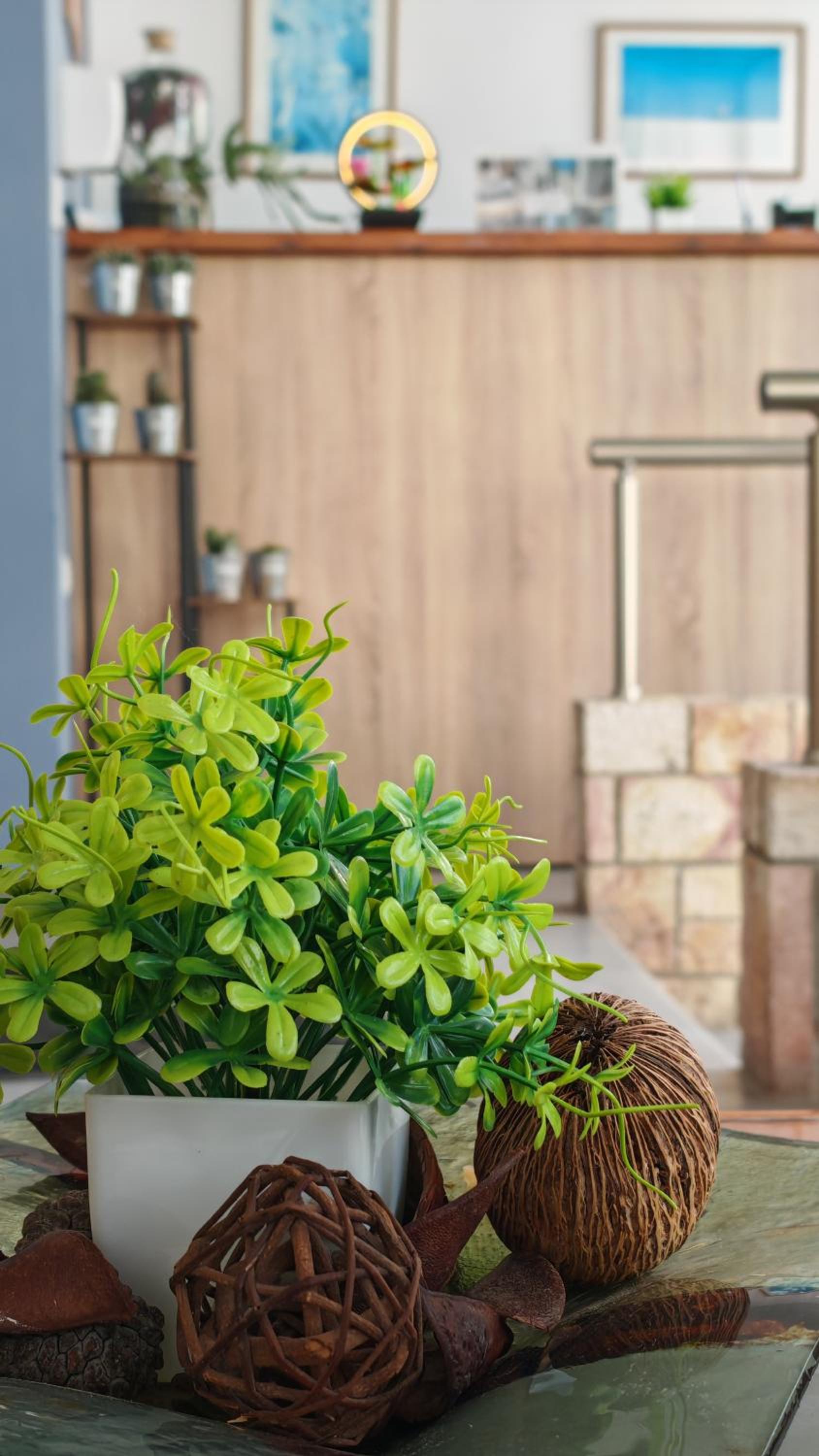 Irene Studios photo 4