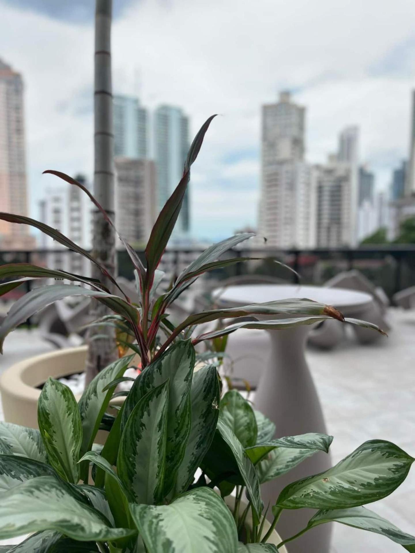 The Cosmopolitan Apto de lujo con Piscina, Panamá view 4
