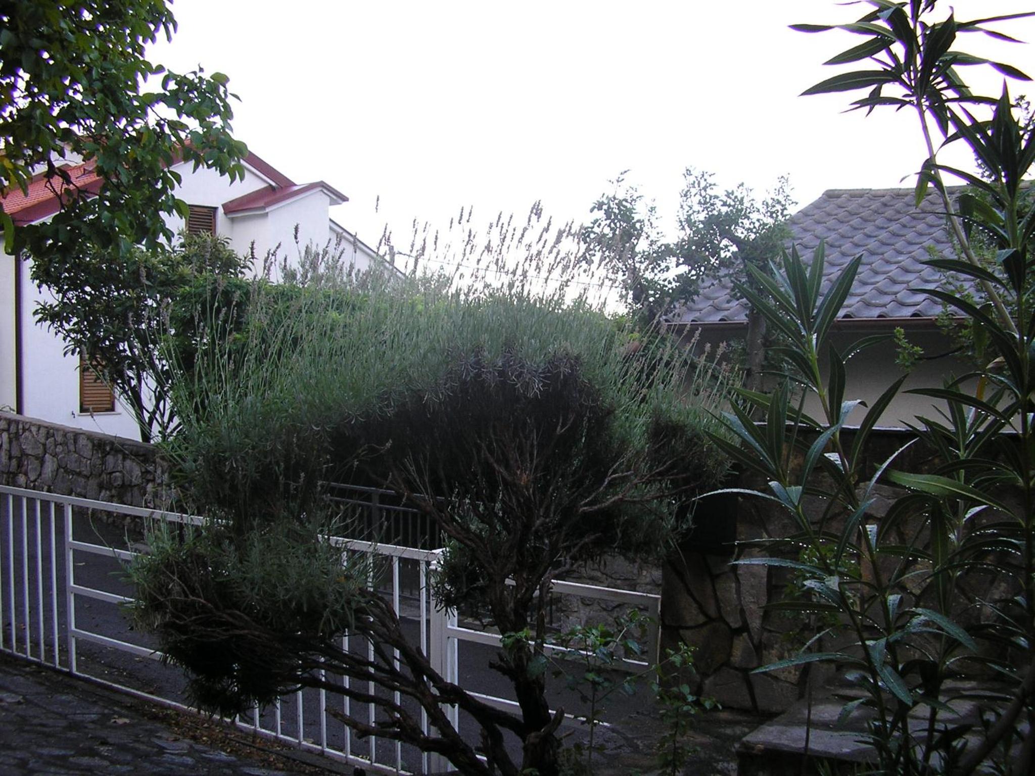 Apartment Bilić