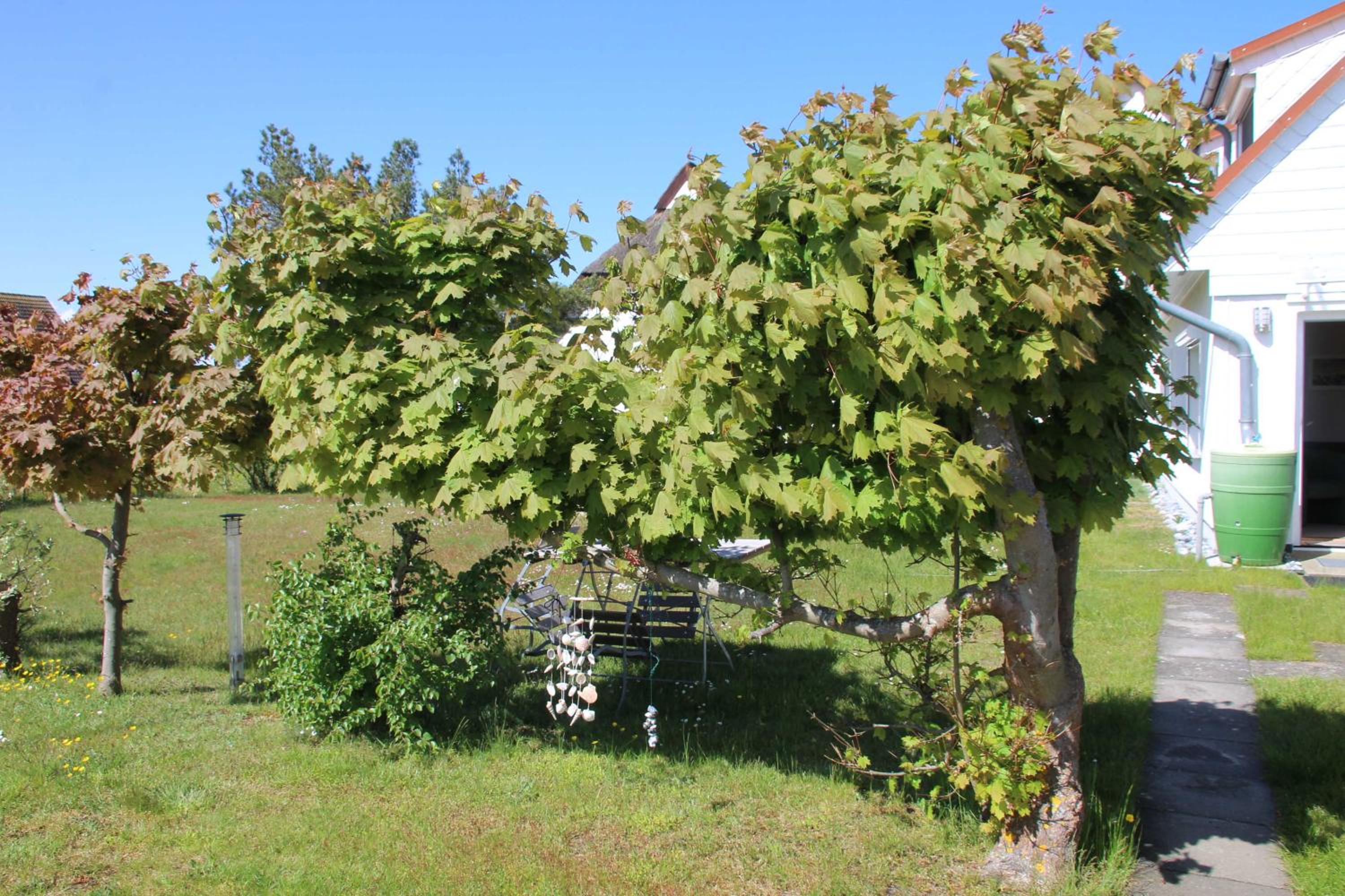 Ferienhaus Boddenblick