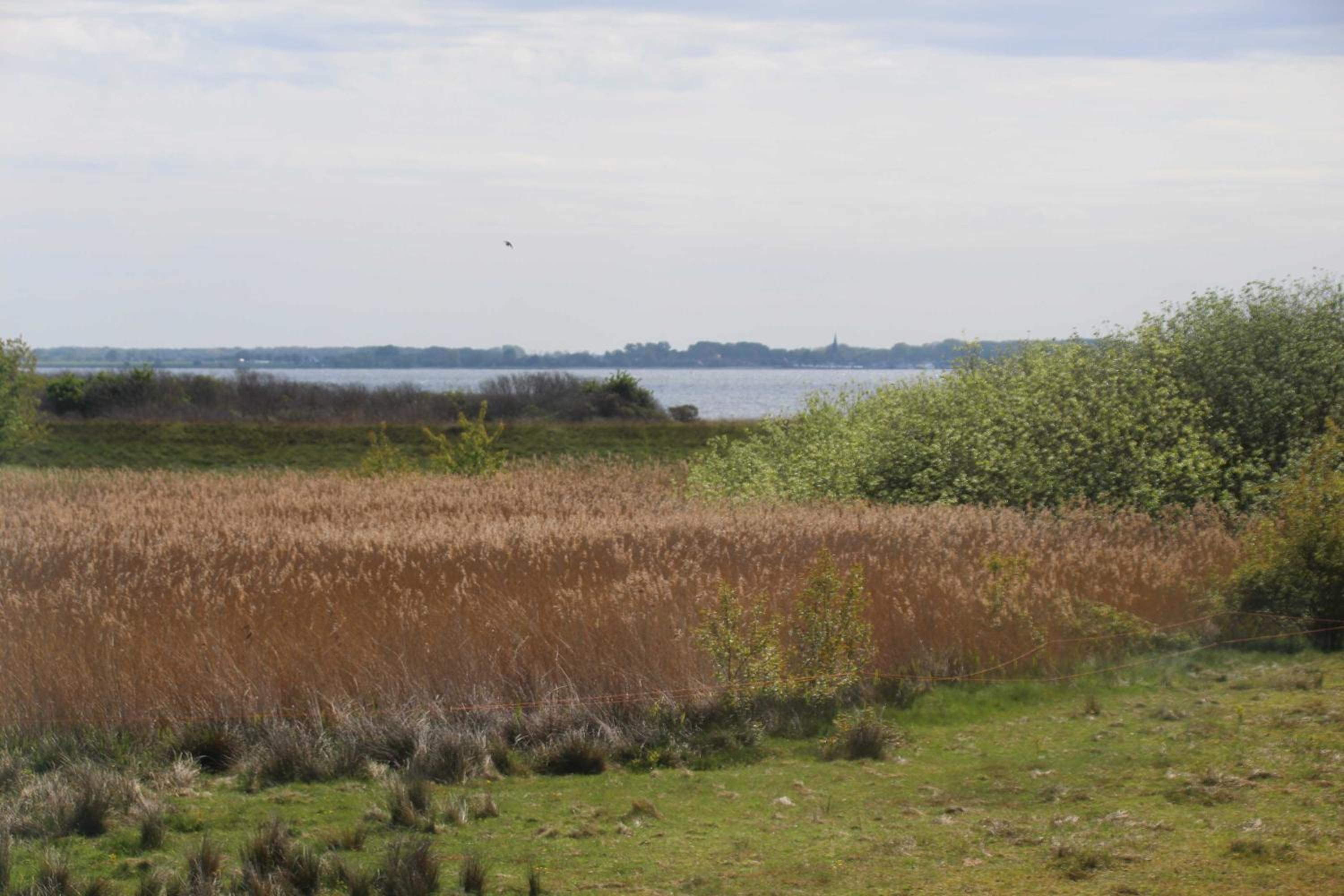 Ferienhaus Boddenblick