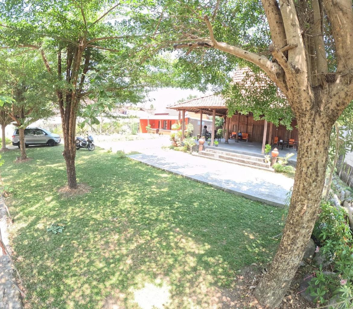 Photo 14