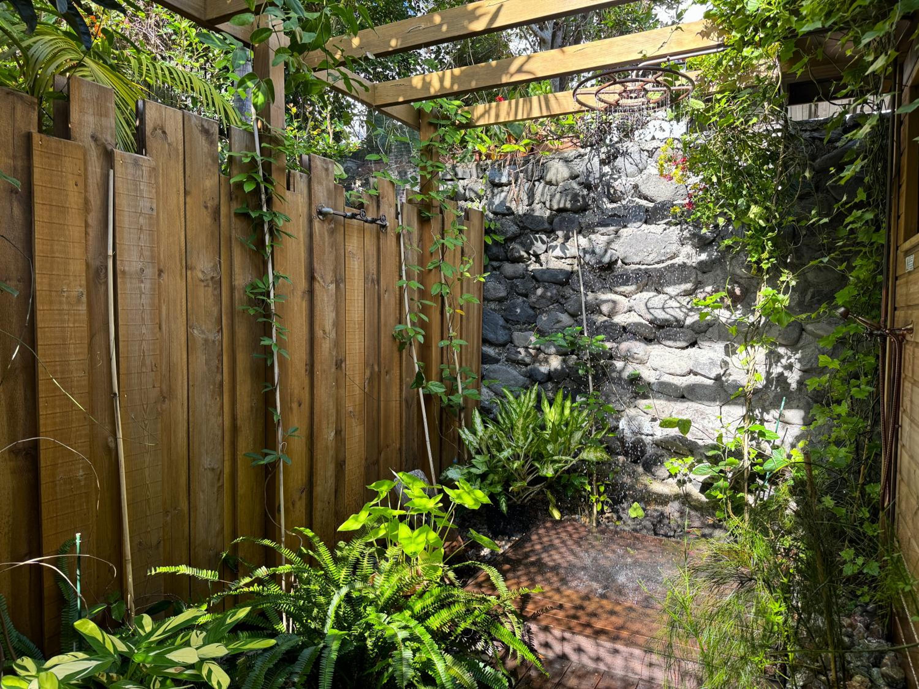 Photo 39